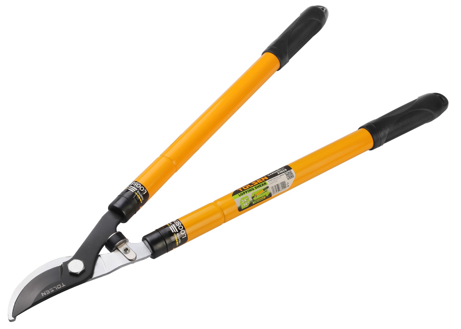 31025-1.jpg 31025-1.jpg